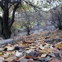 آخرین روزهای پاییز در هندوستانِ ایران