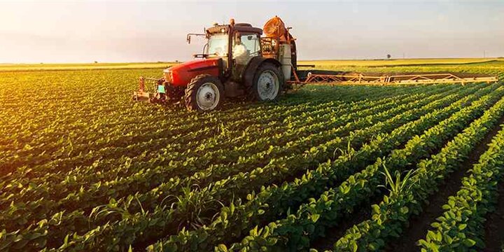 اجرای بزرگ‌ترین قرارداد کشاورزی کشور در سیستان و بلوچستان