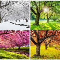 ترسیم چهار فصل در یک قاب 