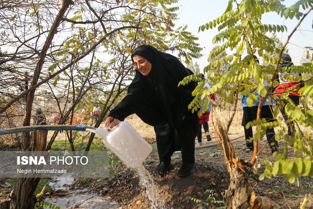  آغاز طرح سراسری کاشت یک میلیارد درخت در تهران  