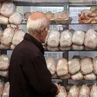 توزیع ۲۲ هزار تُن گوشت مرغ گرم در سطح استان قزوین
