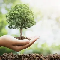 اجرای طرح مردمی کاشت درخت در مازندران؛ سکوت منابع طبیعی ساری!