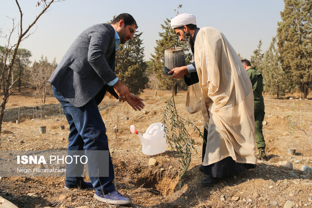  آغاز طرح سراسری کاشت یک میلیارد درخت در تهران  