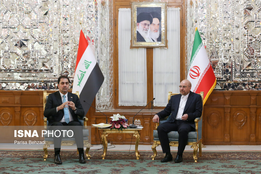 عکس/ دیدار نایب رئیس مجلس عراق با رئیس مجلس