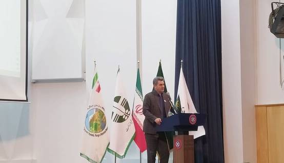 کردستان بیشترین تعداد واژگونی تانکرهای نفتی را در کشور دارد!