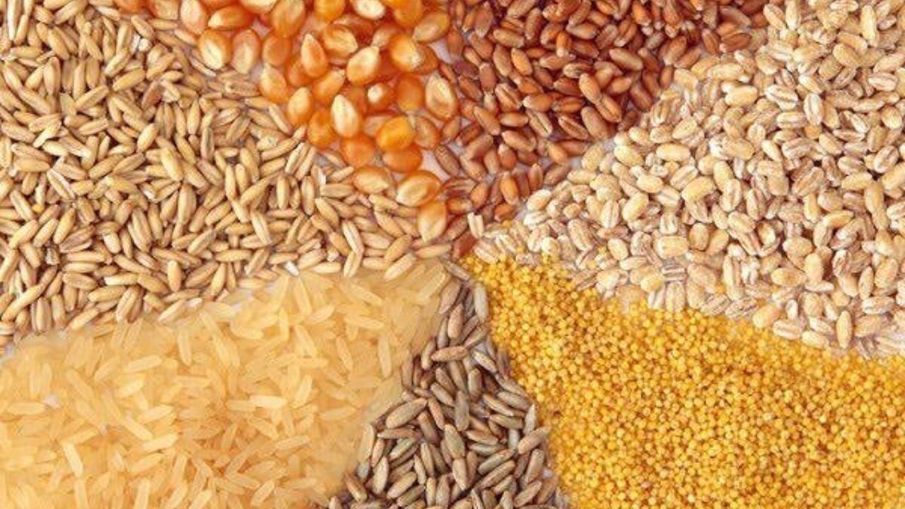 کشف ۵۸ تن انواع نهاد دامی احتکارشده در آذرشهر