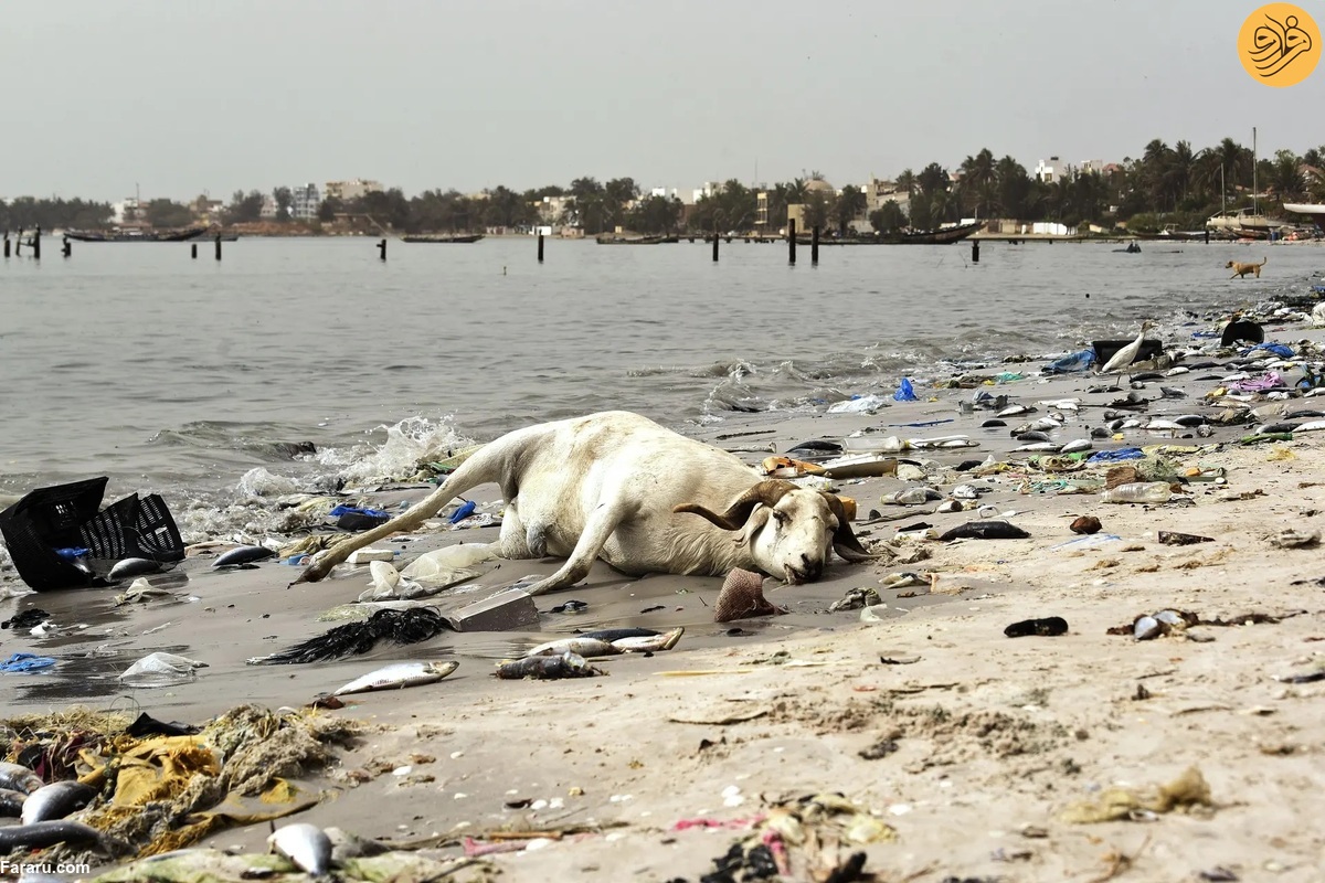 ساحل توریستی که به آلوده‌ترین نقطه داکار تبدیل شد