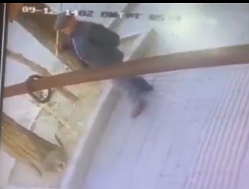 دستگیری فرد حیوان‌‌آزار در اردبیل