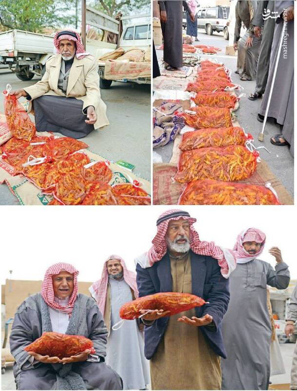 عکس/ بازار ملخ‌فروشان در شهر «البریده» عربستان