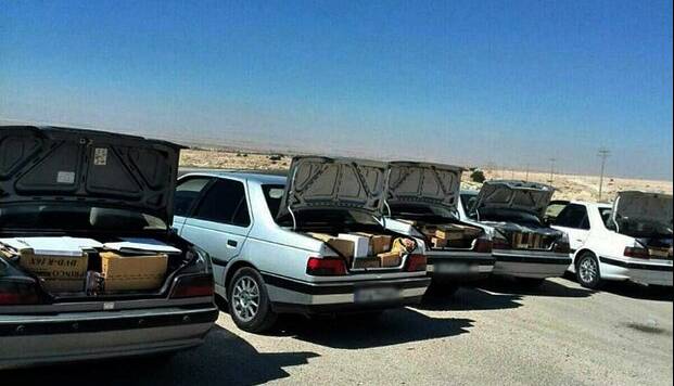 شوتیها در تاکستان گرفتار قانون شدند