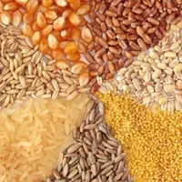 کشف ۵۸ تن انواع نهاد دامی احتکار شده در آذرشهر