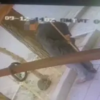 فرد حیوان‌‌آزار در اردبیل دستگیر شد