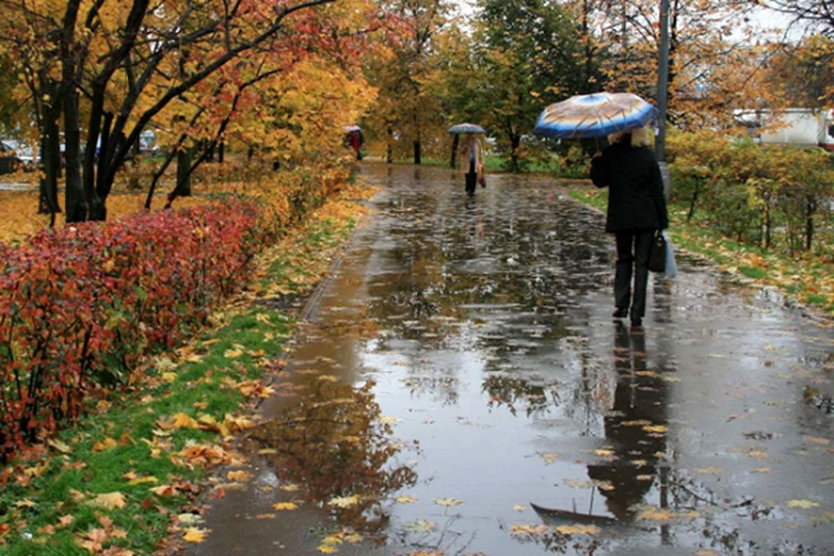 سخنگوی صنعت آب میگوید بارشها در برخی استانها حتی کمتر از ۵۰ درصد از حد نرمال است