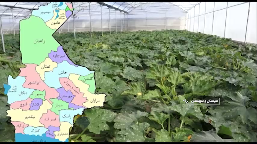 برداشت بیش از ۱۴ هزار تن انواع محصولات گلخانهای در سیستانوبلوچستان