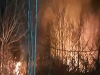 تداوم آتش‌سوزی در جنگل‌های آغوزبن رودبار