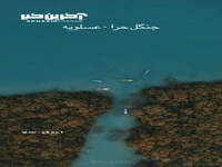 نمایی زیبا از جنگل حرا در عسلویه