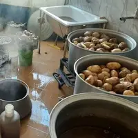 کشف کارگاه غیرمجاز تولید سمبوسه غیربهداشتی در همدان