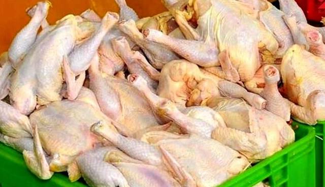 اما و اگرهای کمبود مرغ در بازار ایلام