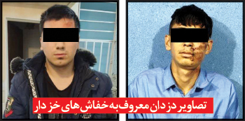 «خفاشهای خزدار» زیر نورافکنهای پلیس مشهد!