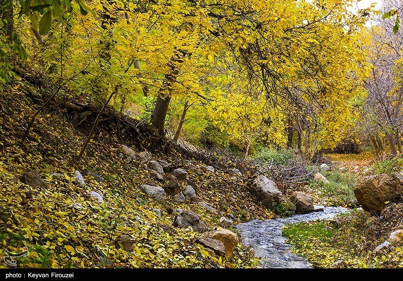 پاییز رنگارنگ کردستان