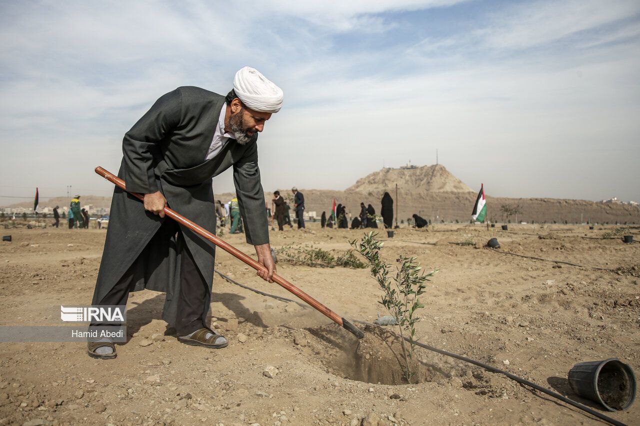 پویش ملی «صبح زیتون»