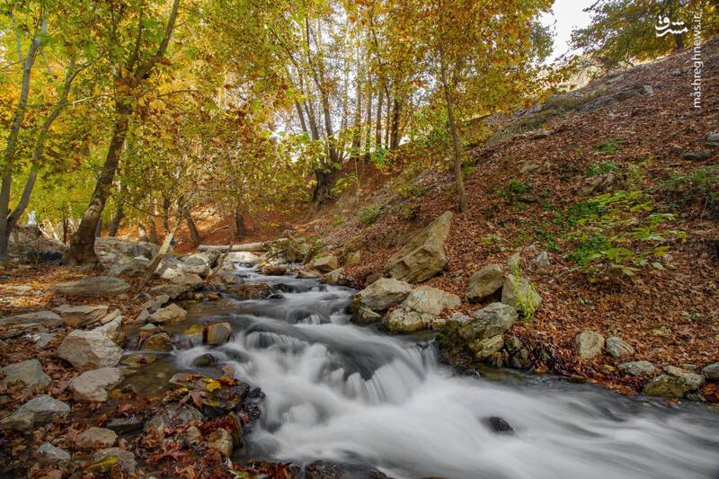 پاییز زیبای کرمانشاه میزبان گردشگران