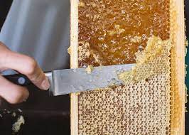برداشت عسل از کندو به بهترین روش ممکن