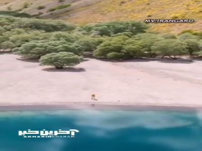 نمایی زیبا از دریاچه 