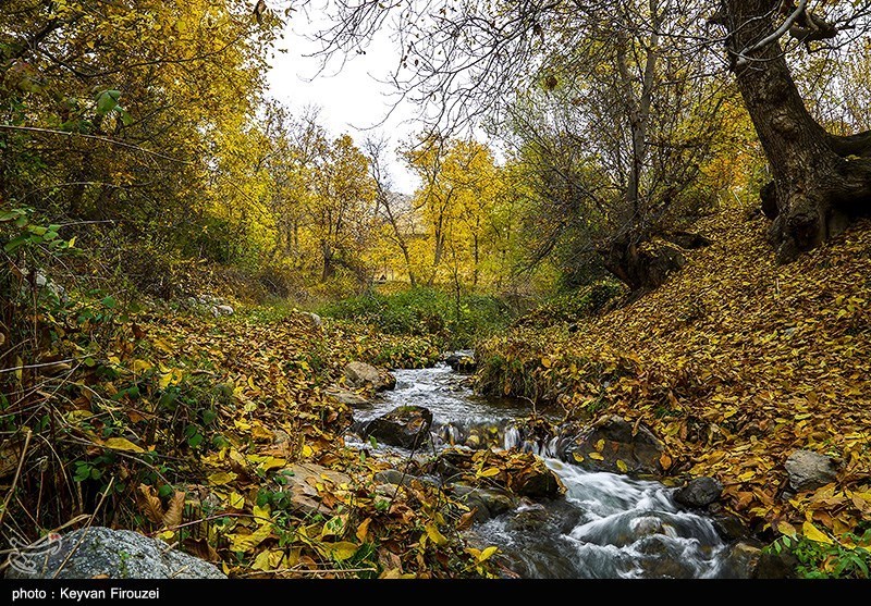 پاییز رنگارنگ کردستان