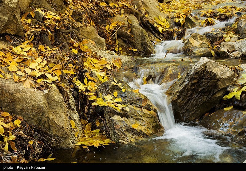 پاییز رنگارنگ کردستان