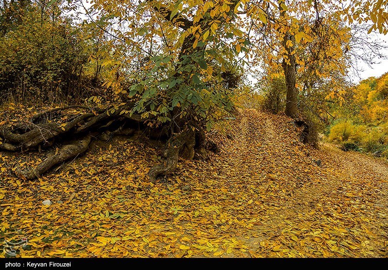 پاییز رنگارنگ کردستان