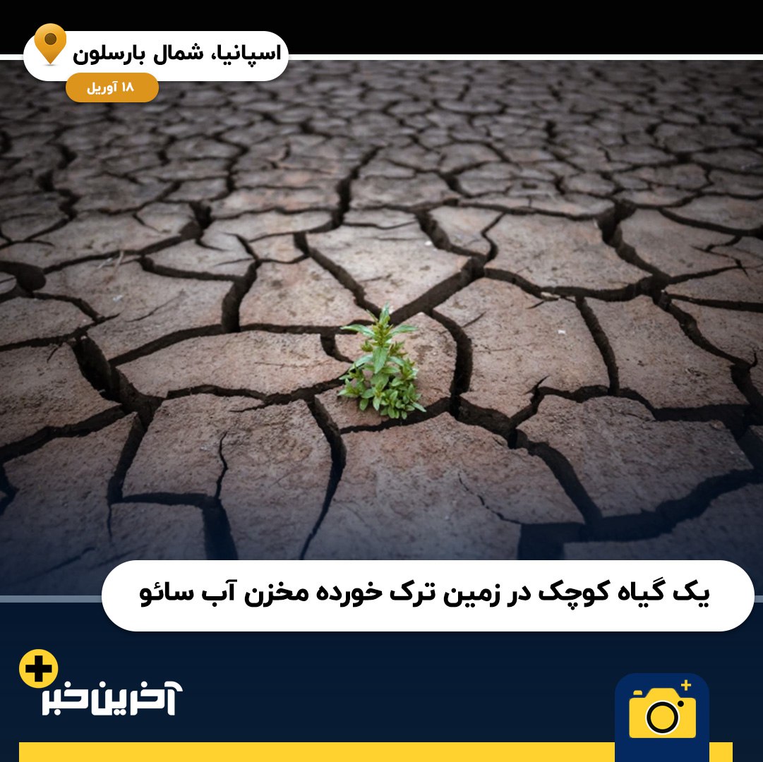 عکس/ 2023 به روایت تصویر از نگاه اسوشیتدپرس (بخش دوم)