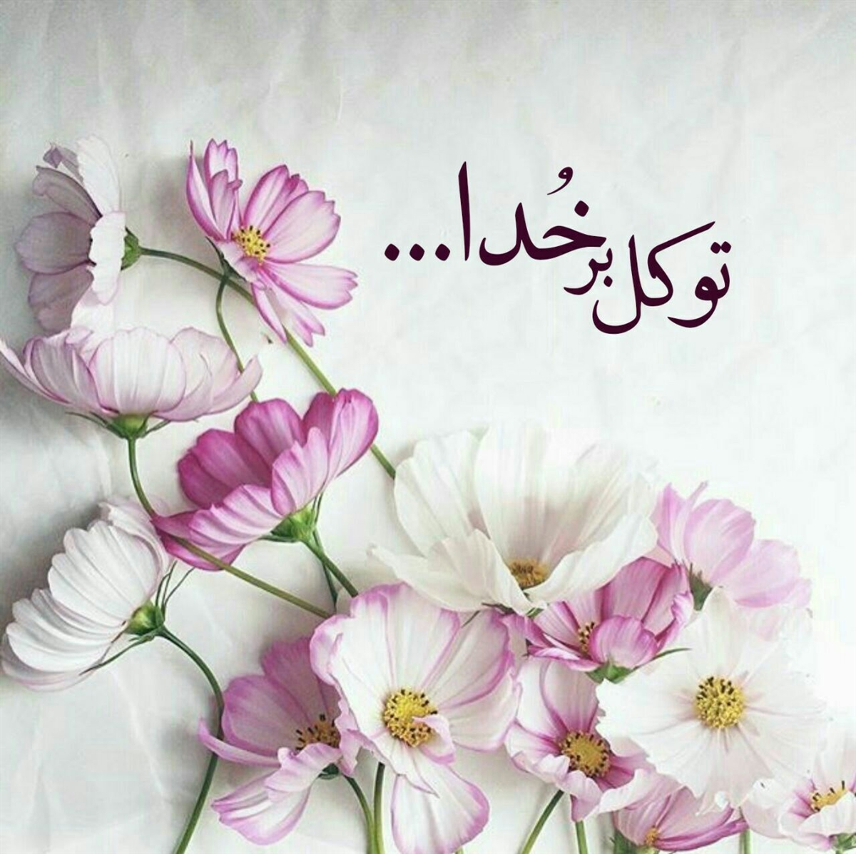 داستانک/ به خدا توکل کن!