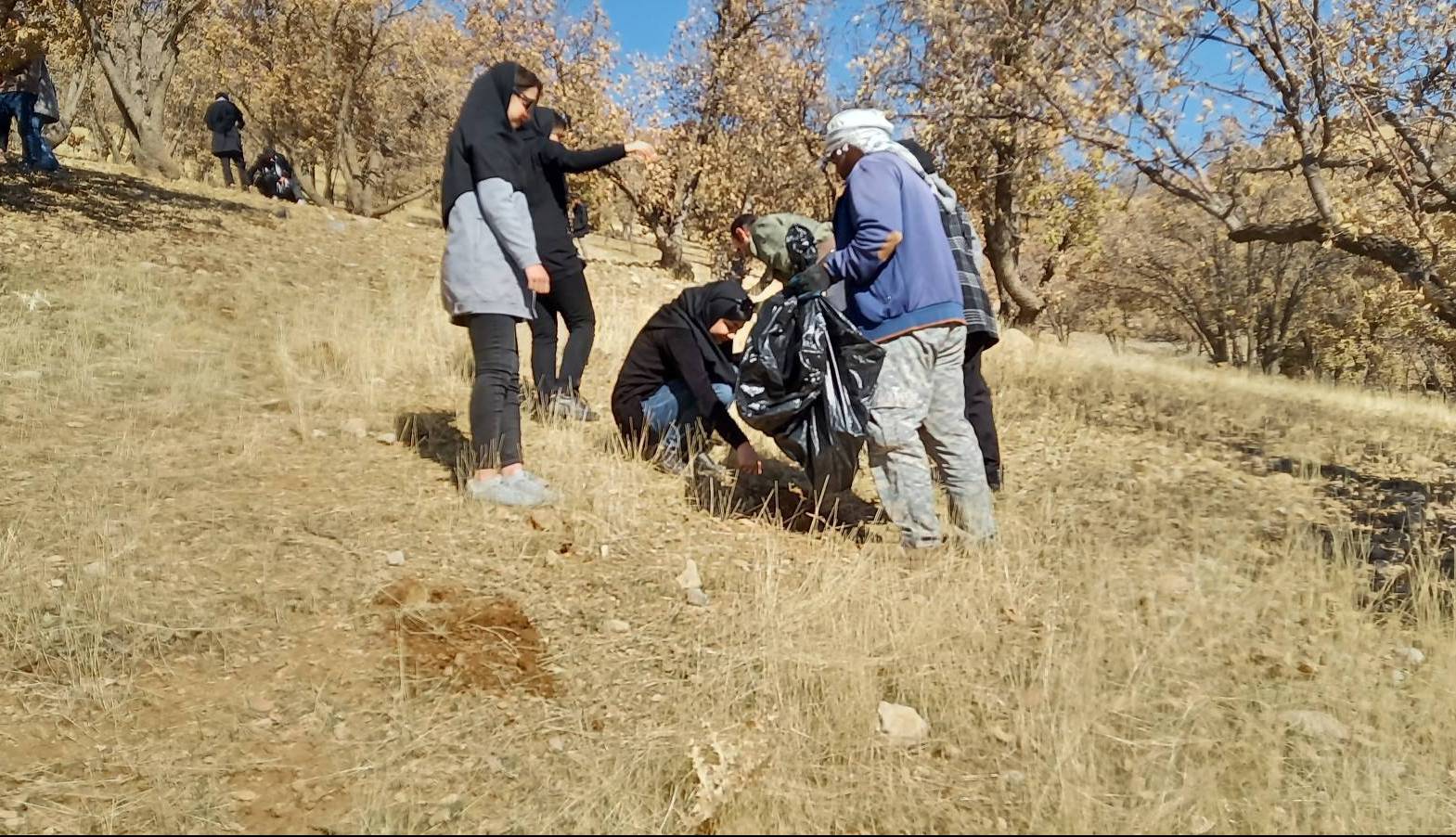 کاشت ۲ هزار بذر بلوط و بادام توسط دانشجویان دانشگاه یاسوج