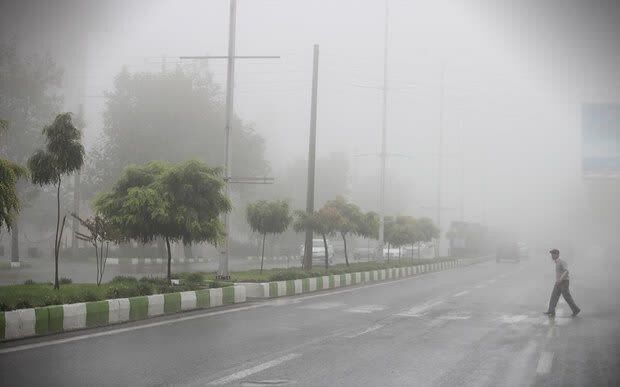 پیشبینی وقوع مه صبحگاهی در برخی از مناطق بوشهر