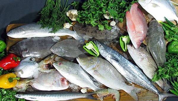 فایده مصرف ماهی برای افراد در معرض خطر بالای بیماری قلبی
