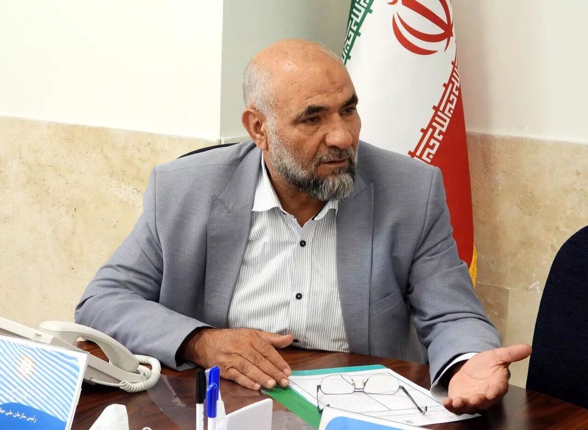 رئیس سازمان ملی مهاجرت: توزیع یک میلیون کارت هوشمند اتباع خارجی آغاز شد