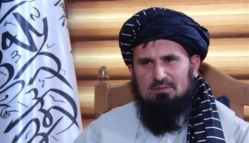 طالبان: جنگ در کشور راه حل نیست، مشکلات با مذاکره حل شود