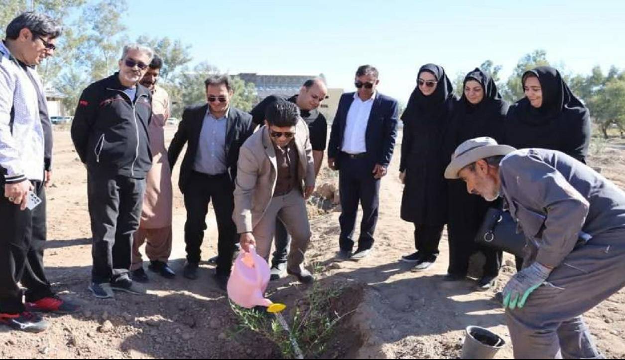 کاشت ۱۰۰ نهال زیتون بهیاد شهدای غزه در بوستان غزه زاهدان