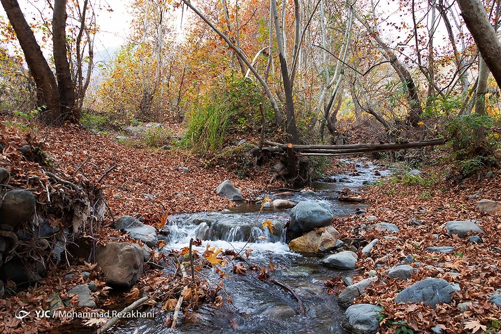 پاییز هزار رنگ در روستای «شیت» زنجان