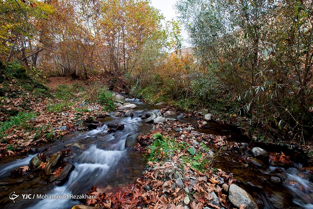 پاییز هزار رنگ در روستای «شیت» زنجان