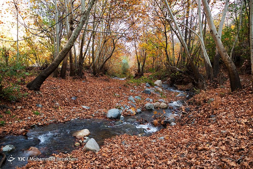 پاییز هزار رنگ در روستای «شیت» زنجان