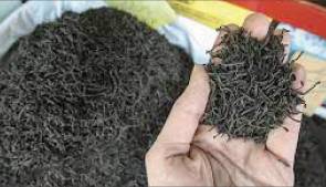 دبیر شورای اطلاع‌رسانی دولت: در پرونده چای، ارز ترجیحی داده نشده است