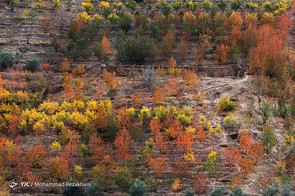 پاییز هزار رنگ در روستای «شیت» زنجان