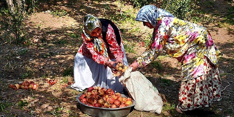 زندگی بزرگان/ انارچینی عروس و داماد به جای کارگرها