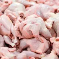 معدوم‌سازی ۴ تن مرغ غیربهداشتی در آبادان