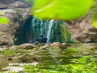 قابی زیبا از آبشار خزه ای در لرستان