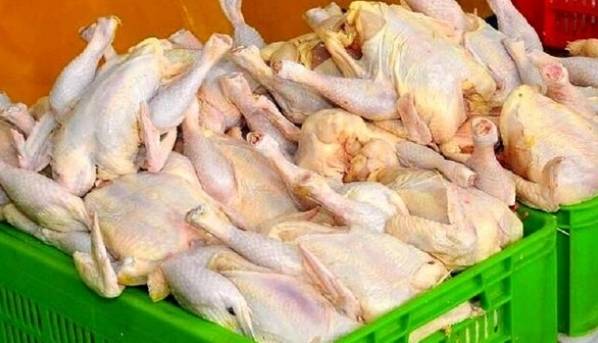 فروشگاههای کرج ملزم به توزیع گوشت تنظیمبازاری شدند