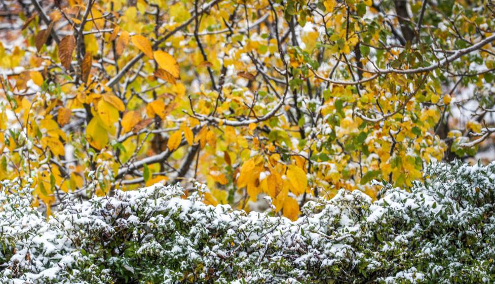 آسمان همدان برفی و بارانی میشود