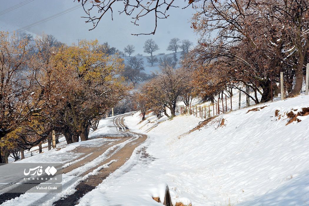 عکس/ بارش برف در «دزپارت» خوزستان